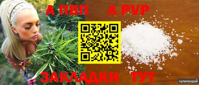 ECSTASY Пугачёв