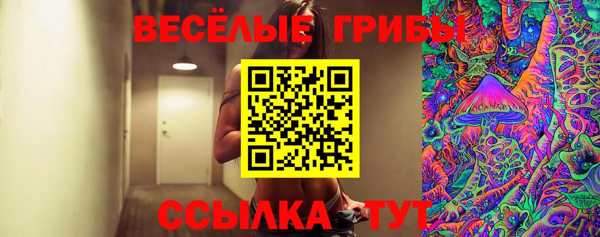 Псилоцибиновые грибы Cubensis  Вход с VPN  Строитель 