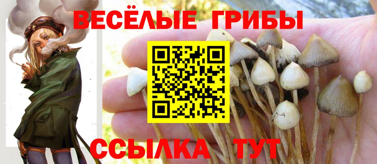 Галлюциногенные грибы мицелий Строитель